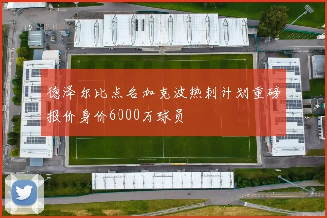 德泽尔比点名加克波热刺计划重磅报价身价6000万球员