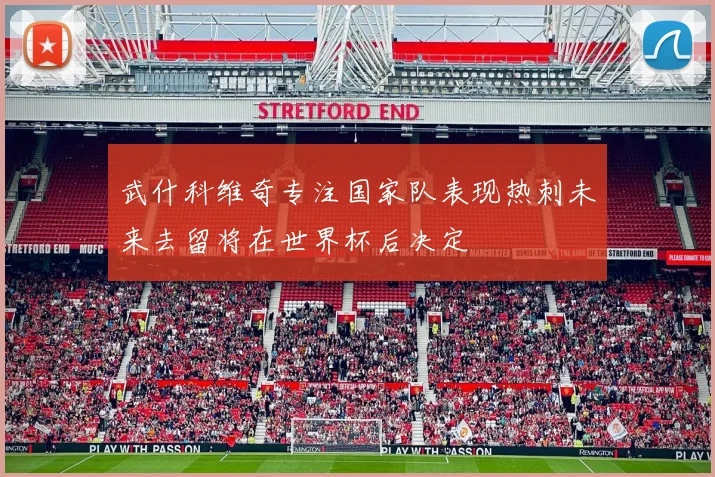 武什科维奇专注国家队表现热刺未来去留将在世界杯后决定